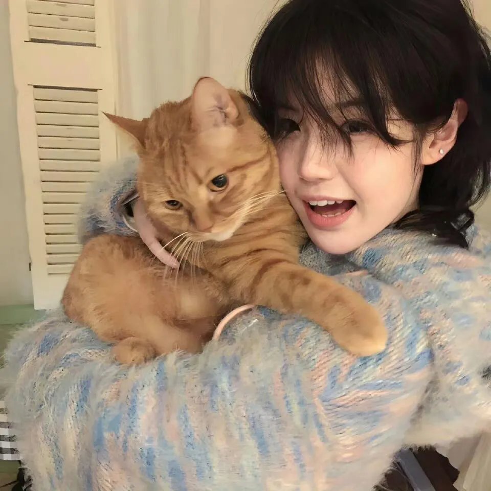 都市之神龙过江